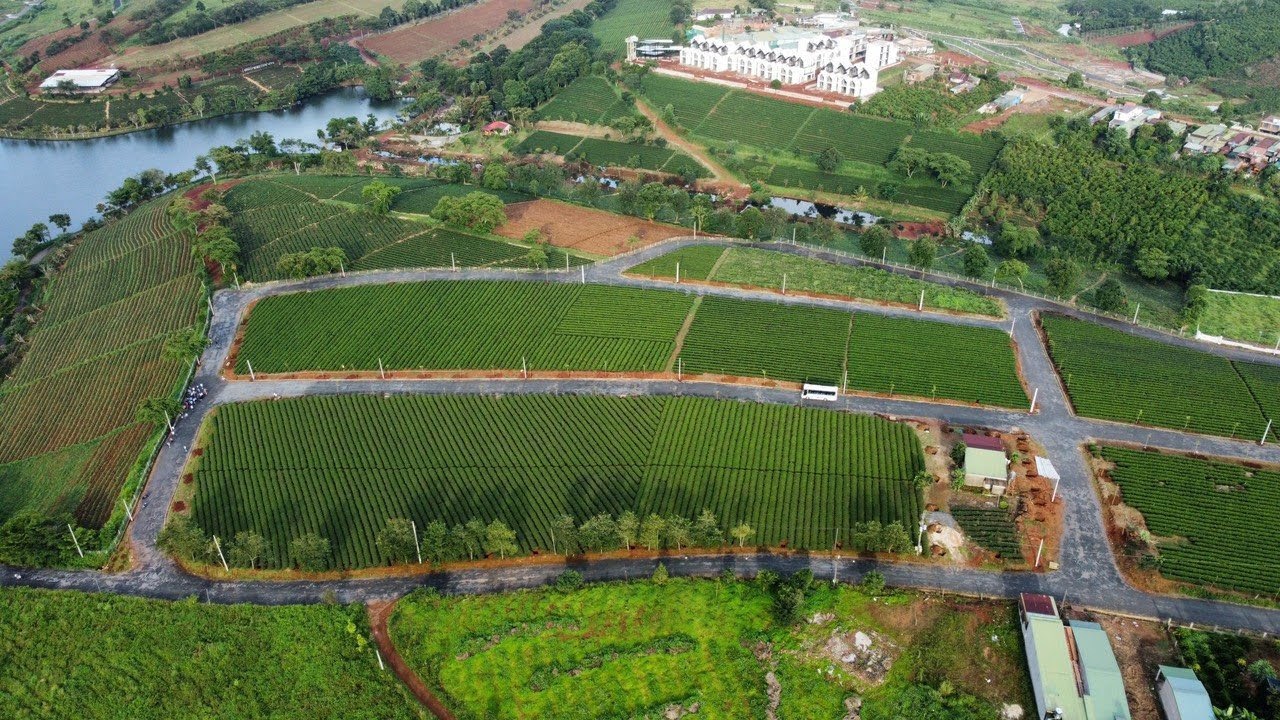 Dự án Phú Quốc